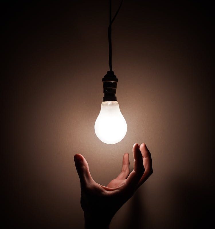 pexels-lucanardone-3651820